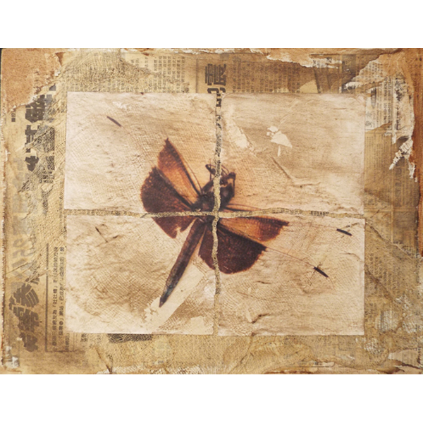 "Dragonfly Waltz #17" 12" x 16" "Dragonfly Waltz #17" 12" x 16"