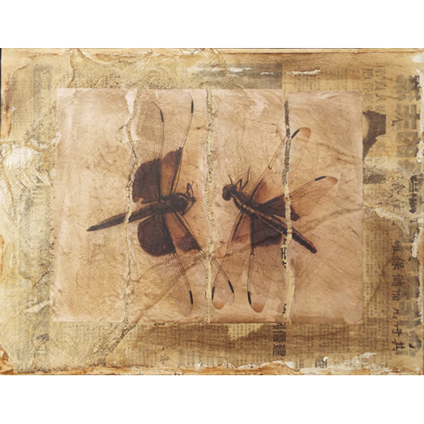 "Dragonfly Waltz #19" 12" x 16" "Dragonfly Waltz #19" 12" x 16"