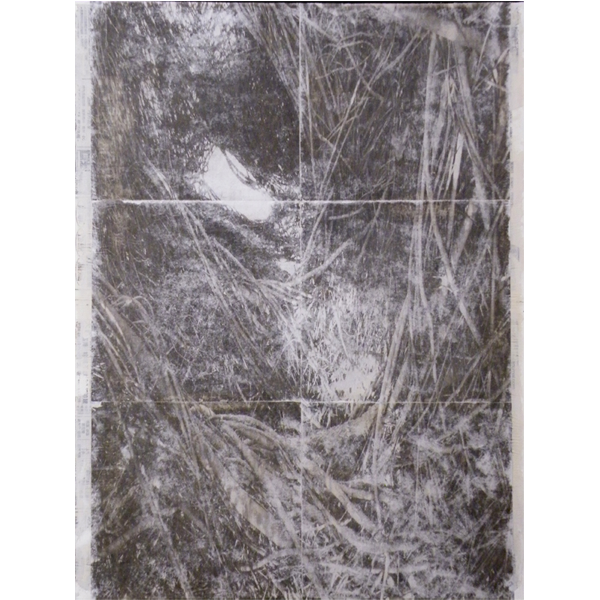 "Diamonds in the Rough #2" 24" x 18" "Diamonds in the Rough #2" 24" x 18"